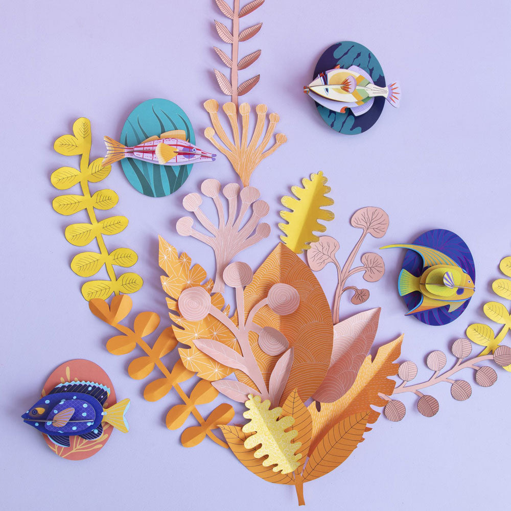 Studio tag store fisk - Longnose Hawkfish - Image 3